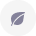 Leaf icon