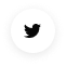 twitter icon