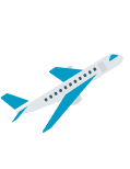 flight